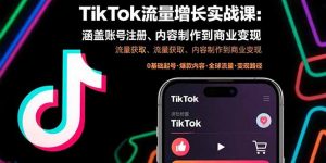 TikTok流量增长实战课：涵盖账号注册、流量获取、内容制作到商业变现-木白网创