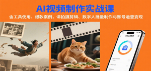 AI视频制作实战：含工具使用、爆款案例，讲拍摄剪辑、数字人批量制作与账号运营变现-木白网创