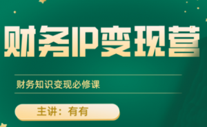 有有老师·财务IP变现营，财务知识变现必修课-木白网创