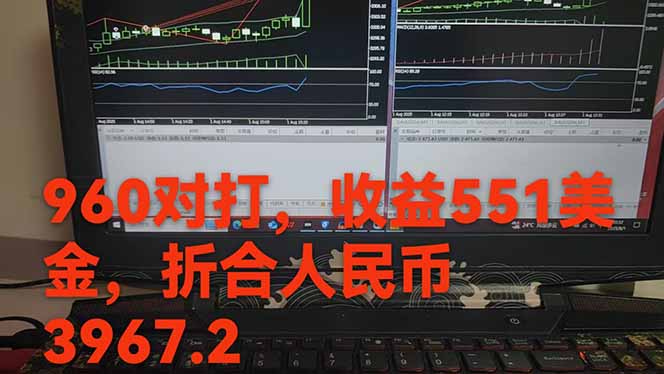 图片[1]-稳定8年的美刀搬砖项目，单人每日收益800—3000.团队4人月入10W+.可线下-木白网创