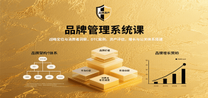 品牌管理系统课：战略定位与消费者洞察，DTC案例、资产评估，增长与公关体系搭建-木白网创