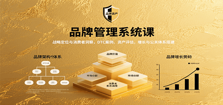 图片[1]-品牌管理系统课：战略定位与消费者洞察，DTC案例、资产评估，增长与公关体系搭建-木白网创