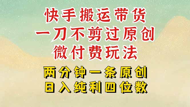 快手黑科技搬运带货，一刀不剪过原创，微付费投流玩法，轻松日入四位数…-木白网创