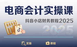 电商会计实操课-抖音小店财务教程2025-木白网创