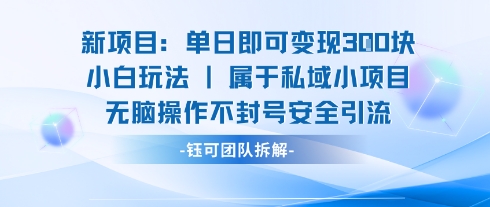 新项目单日即可变现3张的小白玩法无脑操作不封号安全引流-木白网创