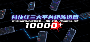 抖快红三大平台矩阵运营，12小时SOP实战+流量获取-风控-扩量，月引10000+线索-木白网创