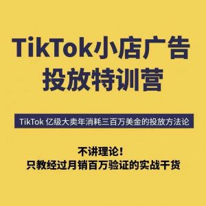 TikTok小店广告投放特训营，6天破局计划专治各种“投不动”，教你经过月销百万验证的实战干货-木白网创