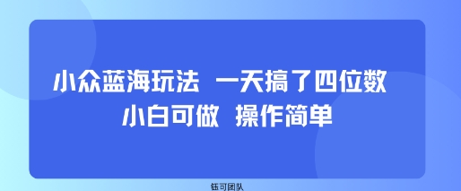 小众蓝海玩法 一天搞了四位数 小白可做 操作简单-木白网创