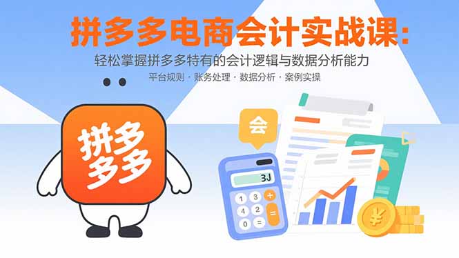 拼多多电商会计实战课：轻松掌握拼多多特有的会计逻辑与数据分析能力-木白网创