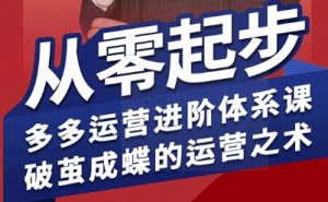 拼多多运营进阶系统课，从零起步，多多运营进阶体系课，破茧成蝶的运营之术-木白网创