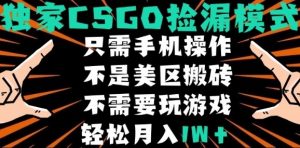 CSGO自动捡漏项目，最新独家玩法，不是美区搬砖，不需要了解和玩游戏，新手小白轻松月入1W+【揭秘】-木白网创