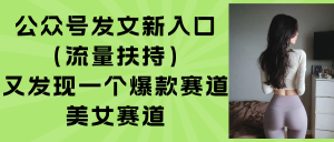 公众号发文新入口(流量扶持-木白网创