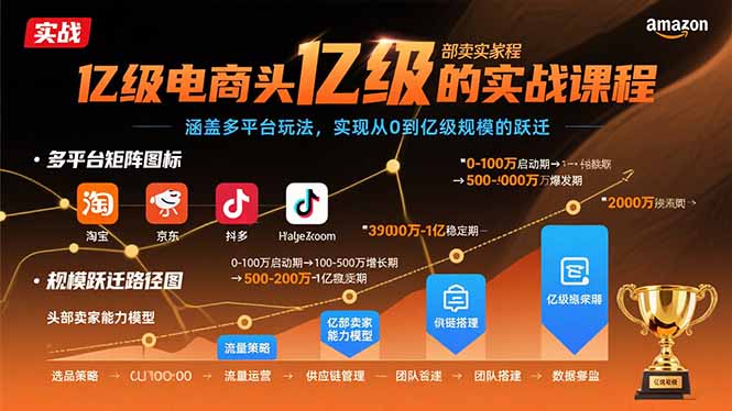亿级电商头部卖家的实战课程：涵盖多平台玩法，实现从0到亿级规模的跃迁-木白网创
