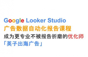 英子出海广告·Google Looker Studio从新手到高手-木白网创