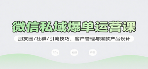 微信私域爆单运营课：朋友圈/社群/引流技巧，客户管理与爆款产品设计-木白网创