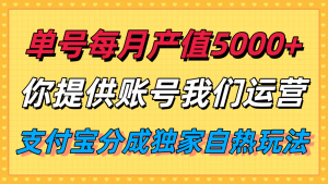 单月产值5000+，支付宝分成代运营，你提供账号坐等分钱，我们帮你运营-木白网创