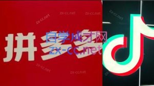 老陶电商·拼多多+抖音小店无货源开店(更新8月)-木白网创