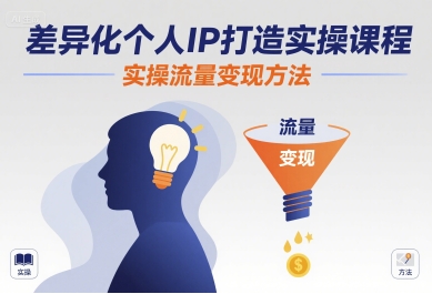 差异化个人IP打造实操课程，实操流量变现方法-木白网创