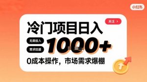 在小红书上发现个冷门路子，需求不小，零成本操作，每天能有1k进账-木白网创