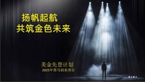 美金对冲创业项目，日收益1000-3000，小众暴力项目稳定运行8年-木白网创