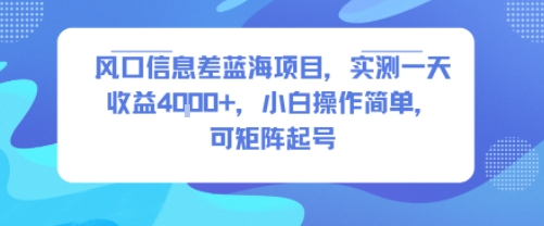 风口信息差蓝海项目，实测一天收益4k+，小白操作简单，可矩阵起号-木白网创