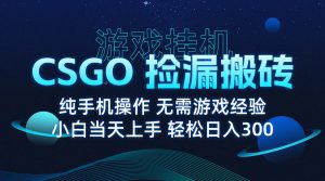8月最新游戏搬砖,CSGO纯挂机,不需要玩游戏,实现真挂机,月入1W+-木白网创