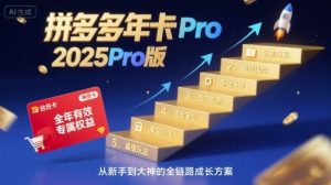 拼多多年卡2025Pro版，五大板块从认知到基础、从推广到活动、从活动到玩法-木白网创