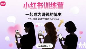 小红书训练营一起成为賺钱的博主，小红书是最适合普通人的风口-木白网创