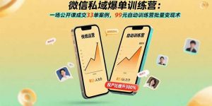 微信私域爆单训练营：一场公开课成交33单案例，99元自动训练营批量变现术-木白网创