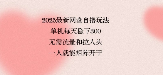 2025最新网盘自撸玩法，单机每天稳下3张，无需流量和拉人头，一个人就可轻松矩阵，全网独一份【揭秘】-木白网创