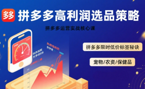 久号老师·拼多多选品暴利技术实战课-木白网创