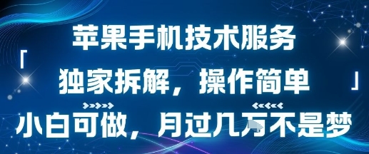 苹果手机技术服务，独家拆解，操作简单，小白可做，月过1W不是梦-木白网创