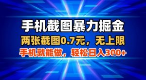 手机截图暴力掘金，两张截图0.7米，一部手机就能做，轻松日入3张+【揭秘】-木白网创