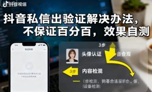 抖音私信出验证解决办法，不保证百分百，效果自测-木白网创