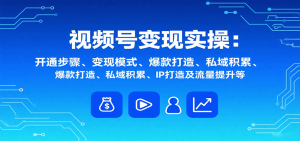 视频号变现实操，含开通步骤、变现模式、爆款打造、私域积累、IP打造及流量提升等-木白网创