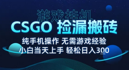 8月最新游戏搬砖,CSGO纯挂G,不需要玩游戏,实现真挂G,月入1W+【揭秘】-木白网创