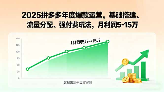 2025拼多多年度爆款运营,基础搭建、流量分配、强付费玩法,月利润5-15万-木白网创
