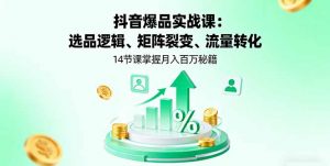 抖音爆品实战课：选品逻辑、矩阵裂变、流量转化，14节课掌握月入百万秘籍-木白网创