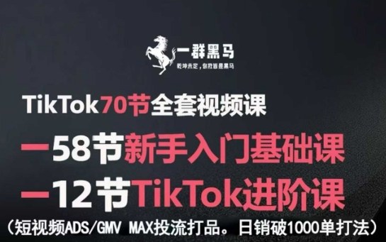 TikTok全套视频课，新手入门+进阶课，短视频ADS-GMV MAX投流打品，日销破1000单打法-木白网创