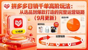 拼多多日销千单高阶玩法：从选品到爆款打造的完整运营链路(9月更新-木白网创