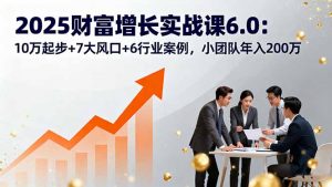 2025财富增长实战课6.0:10万起步+7大风口+6行业案例,小团队年入200万-木白网创