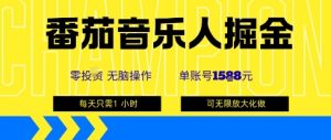 番茄音乐人掘金，单账号最高可撸1k+，可无限矩阵去做，零投入-木白网创