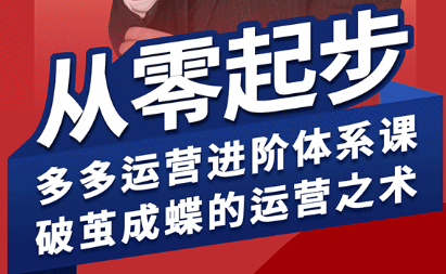 海神·拼多多运营进阶系统课(更新9月)-木白网创