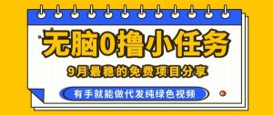 0学费0风险，2025风口项目，无脑免费撸，代发纯绿色视频，一部手机人人可做【揭秘】-木白网创