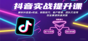 抖音实战提升课：解析抖音蓝v权益，销售技巧、客户管理、团队打造等创业赛道快速突围-木白网创