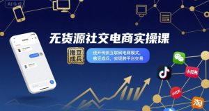 无货源社交电商实操课，绕开传统互联网电商模式，撒豆成兵，实现跨平台交易-木白网创