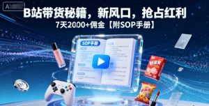 B站带货秘籍，新风口，抢占红利，7天2k+佣金【附SOP手册】-木白网创