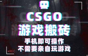 CSGO游戏挂机捡漏，单日扫货500+，年底小高峰上车可吃肉，手机即可操作...-木白网创