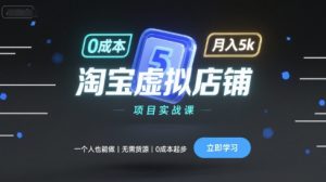 淘宝虚拟店铺项目实战课，一个人也能做，无需货源、0成本起步，月入5k-木白网创