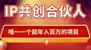 如何通过IP共创合伙人一起合伙“卖项目”-木白网创